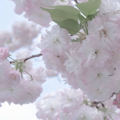 通川福瑞交流群